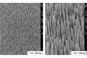 電通大、高密度・高均一な半導体量子ナノワイヤのSi基板への作成技術を開発