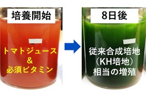 ユーグレナはトマトジュースで培養するとよく育つ！ - 理科大が発見