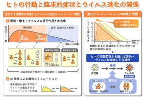 新型コロナの進化がヒトの行動などと関連していた可能性、名大などがAI活用で発見