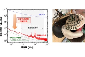 東北大、量子スピンセンサを用いた超高感度な脳磁計の研究開発を本格開始