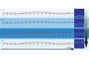 東大など、量子磁性体のスピン波の寿命を磁場で制御することに成功