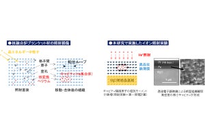 岩手大、核融合炉の材料の磁性はイオンの過酷照射に頑健なことを実証