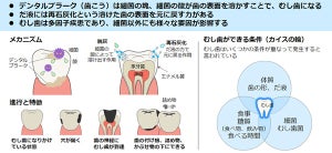 富士通、国内従業員7万人を対象に予防歯科に関する健康教育の取り組みを開始