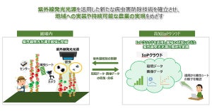 高知県IoPクラウドと連携したデータ駆動型病虫害防除技術の実証