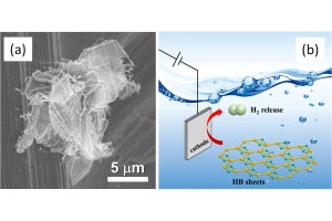 常温・常圧かつ電気のみで水素生成が可能な二次元物質、東工大などが確認