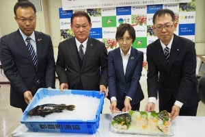 宮崎県都農町、世界初「クエタマ」「タマカイ」の陸上養殖に成功 - 岡山理科大やNTT東西が支援