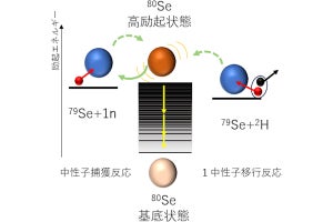 東大など、長寿命放射性廃棄物「セレン-79」の中性子捕獲断面積を計測