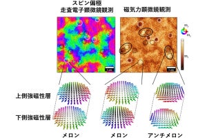 東北大、メロンやアンチメロンなどトポロジカル磁気構造の作り分けに成功