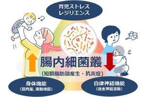 育児のストレスが腸内細菌叢に及ぼす影響とは？ - 京大などが関連を発見