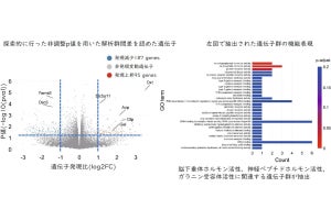 広島大、加熱式たばこの長期喫煙は脳に影響を与える可能性があると発表