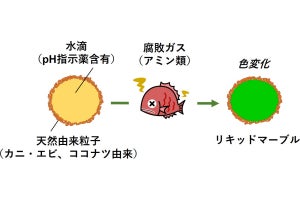 大工大、食品が腐敗しているか否かを容易に識別できる液滴型センサを開発