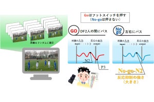 優秀なサッカー選手ほどパスの出す出さない判断が早い、大阪公大が脳波測定で確認