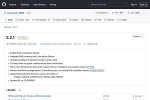 Microsoft、WSL 2.2.1でDNSトンネリングをデフォルトで有効に