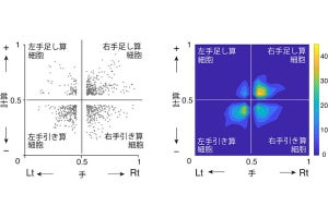 東北大、サルの脳にもヒト同様の足し算・引き算細胞があることを発見