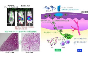 iCONMなど、コロナ用mRNAワクチンの副反応を取り除いた新ワクチンを開発