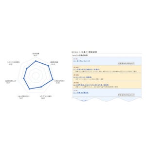 WCAG2.2対応のWebアクセシビリティ評価ツール「WAIV2」