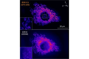 阪大など、生体内部を高解像で観察できる「超解像顕微法」を開発