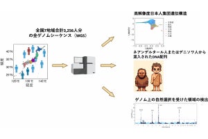 理研が全ゲノム解析で日本人の遺伝的起源と特徴を解明