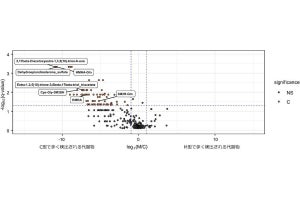 大阪公大、腋臭症(わきが)の原因菌を解析し菌を退治する手法も開発