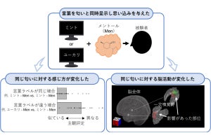 表現する言葉が変わると同じ匂いでも感じ方が変わる？ - 東大など発表