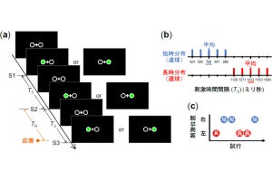 静岡大、ヒトの脳が行っている「ベイズ推定」のより有効な活用方法を発表