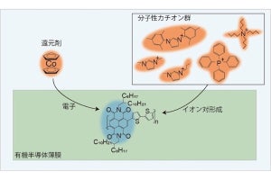 東大、有機半導体の電子ドーピングを安定化し大気下の寿命を100倍向上へ