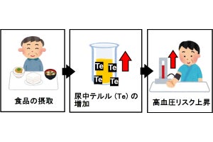 穀類・豆類が含むミネラルと高血圧リスクの関係とは？ - 名大などの研究