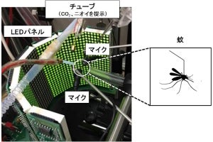 蚊はシリコーンオイルが苦手？ - 花王が蚊専用仮想空間を用いて実験