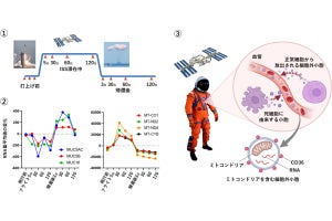 筑波大、ISS滞在中に宇宙飛行士の体内深部で起こる変化を捉えることに成功