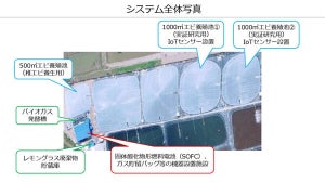 ベトナムでIoTとグリーン電力活用したエビ養殖の高度化に向けた実証、IIJら