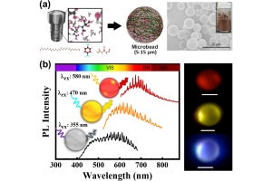 NIMS、多彩な色を放射できる自然由来のマイクロビーズを開発