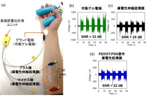 東工大、透湿性・自己接着性を兼ね備えたネットのような生体電極を開発