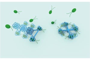 東大、微生物をエンジンとするマイクロマシンの開発に成功