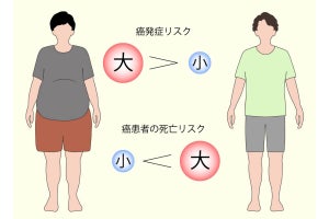 大阪公大、肥満は肺がんでの免疫療法で効果が不十分となる可能性を発見