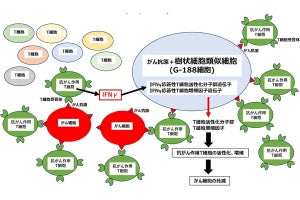 長崎大、多様な二分子間の相互作用を高感度で検知できるシステムを開発