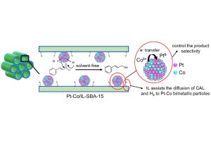 岩手大、イオン液体とナノ粒子を活用したグリーンケミカル技術を開発