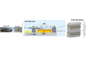 東大など、有機半導体単結晶を用いて小型で薄い高精度イオンセンサを開発