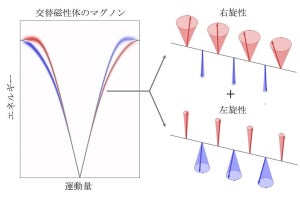 東大など、第3の磁性体「交代磁性体」のマグノンスペクトルの観測に成功