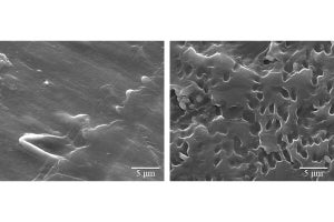 プラスチックに生分解性を与える添加剤に適した分解菌が小学校土壌から発見！