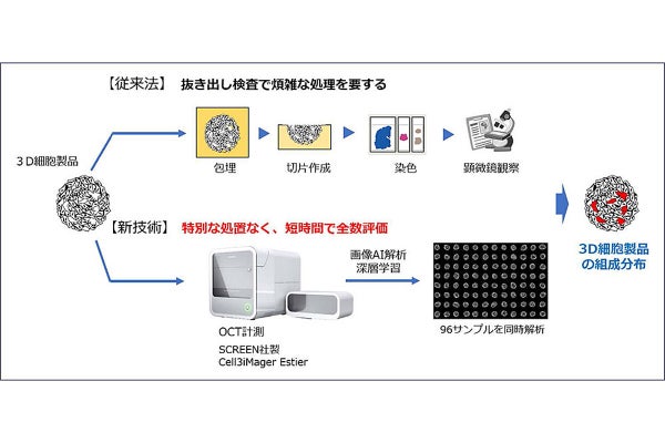 サイフューズとSCREEN、細胞製品の品質評価を効率化する新技術を開発