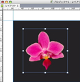 アンチQuarkユーザーが気になるQuarkXPress 8の機能トップ10 第4回 Photoshopのネイティブ形式が扱えなかったけどどうなのよ?