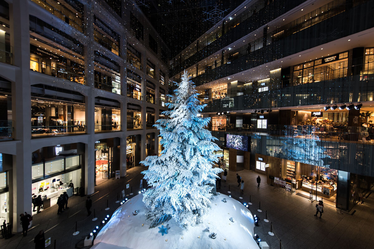 どこでもサイエンス 第272回 クリスマスに寒い都市