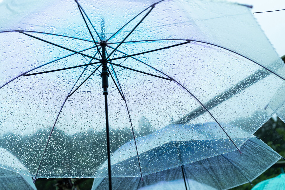 どこでもサイエンス 第286回 雨の日の天文学者