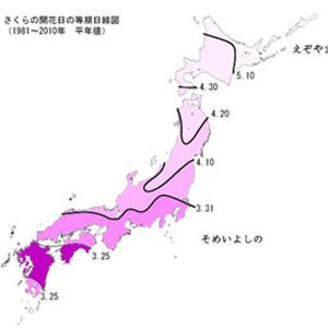 どこでもサイエンス 第72回 さくらが春に咲くのは、寒さを越えるプログラムがあるから