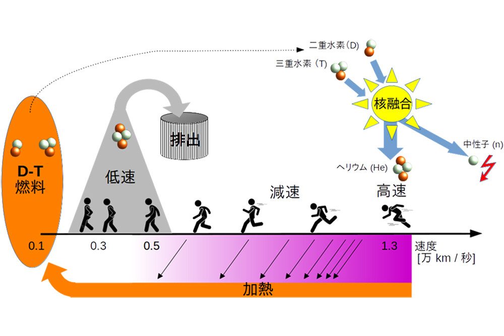 近未来テクノロジー見聞録 第226回 核融合の高速ヘリウム閉じ込めと低速ヘリウム排出を両立する条件を解明！