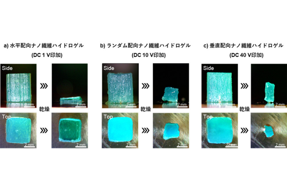 近未来テクノロジー見聞録 第233回 木材由来のナノ繊維組織構造を簡便に再現できるナノ構造制御技術を開発！