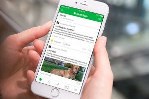 シリコンバレー101 第826回 実名で住所も示して本音を語る、ご近所SNS「Nextdoor」が使われる理由