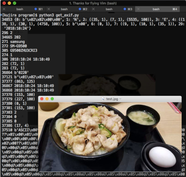 ゼロからはじめるPython 第42回 Pythonで写真に埋め込まれているGPS情報から撮影場所を調べよう