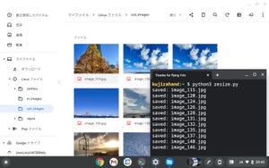 ゼロからはじめるPython 第88回 ChromebookとPythonで100枚の画像を正方形に切り抜こう