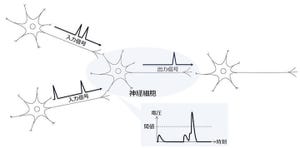 NTTデータのグローバル戦略に迫る ～技術篇～ 第5回 Neuromorphicコンピューティングの可能性 - クラウド領域の先進技術に対する取り組みのご紹介